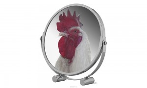 Create meme: mirror cosmetic table, rooster, cock in the mirror