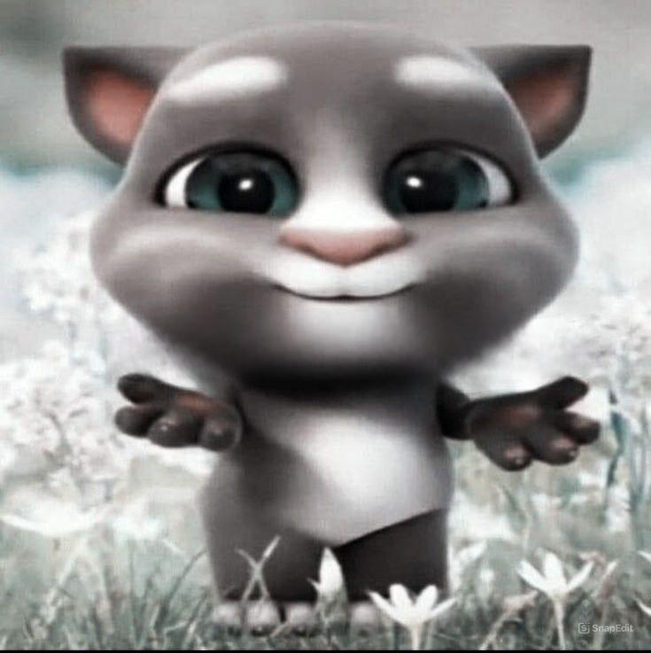 Create meme: talking tom, talking tom cat, cat Tom 