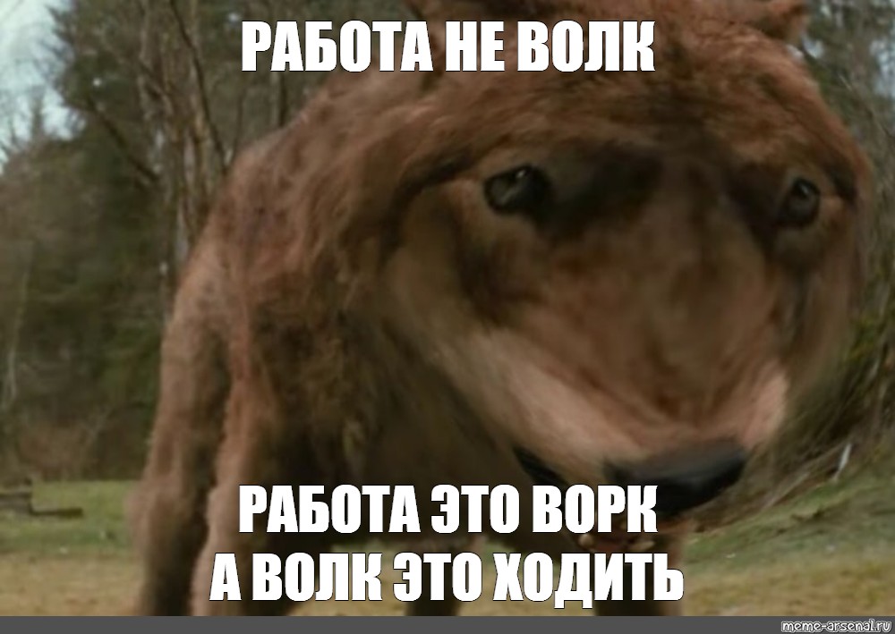 Ну знаете это не работа. Волк это ходить ворк это работа. Мем работа не волк волк это ходить. Работа это не волк работа ворк а волк ходить. Работа не волк а ворк Мем.