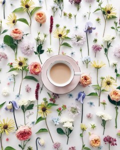 Create meme: flowers, floral, morning style flowers