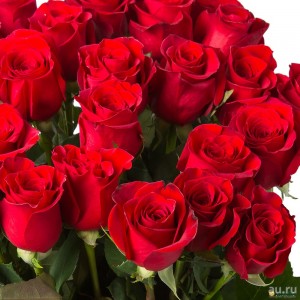 Создать мем: розы цветы букеты, красные розы красивые, цветы красивые розы