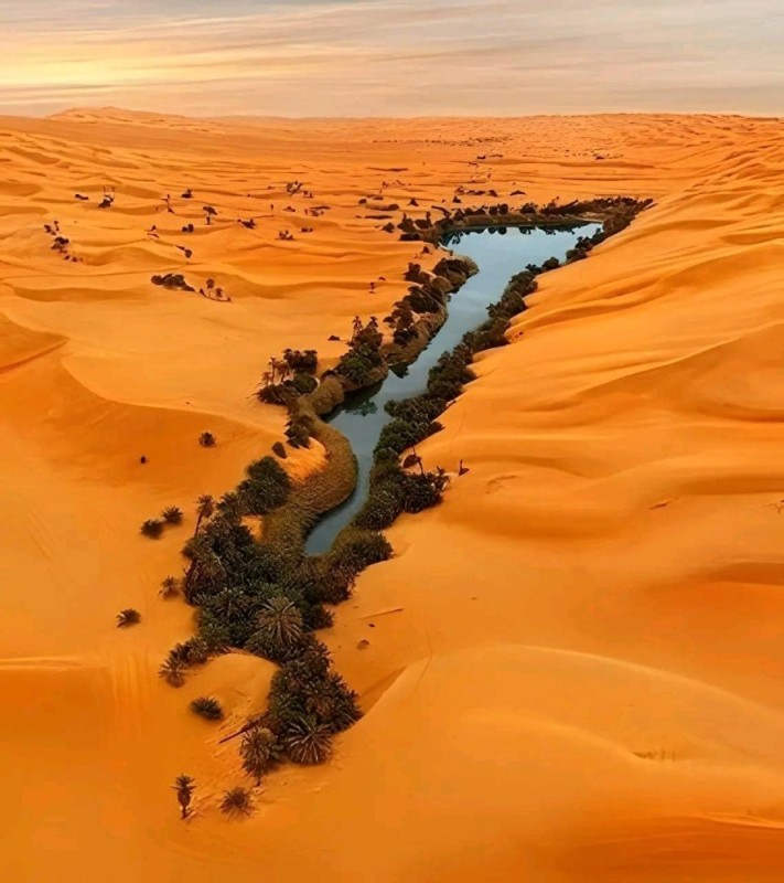 Create meme: Sahara desert oasis, an oasis in the desert, ubari libya