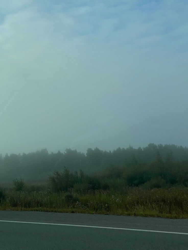 Create meme "rain , highway, fog " Pictures