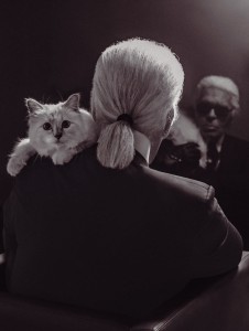 Создать мем: karl lagerfeld кошка, кошка карла лагерфельд, кошка лагерфельда