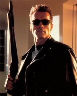 Create meme: the terminator , Schwarzenegger terminator, Arnold Schwarzenegger terminator 2