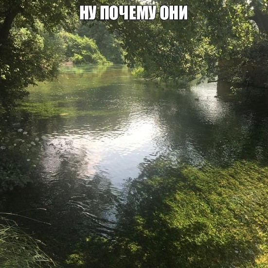 Create meme: river nature, river landscape, The river