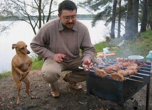 Create meme: dog and kebab