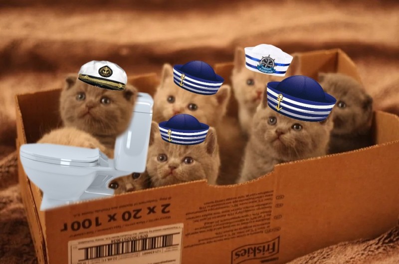 Create meme: kittens submariners, boxes for kittens, cat 