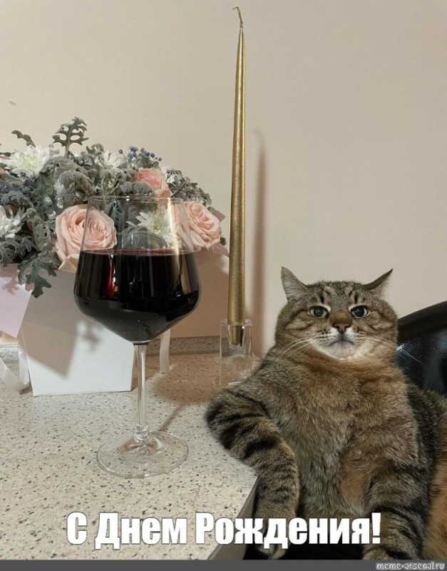 Create meme: cat with wine, cat stepan, cat with a glass