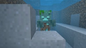 Create meme: minecraft, minecraft 1 7 10, Drowned