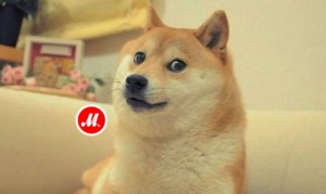 Создать мем: шиба ину, such, dogecoin