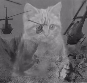 Create meme: Vietnam flashback cat, the Vietnam flashbacks, Vietnam flashback meme with a cat
