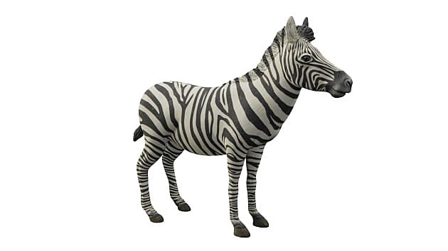 Create meme: Zebra , collecta zebra figurine 88830, zebra toy