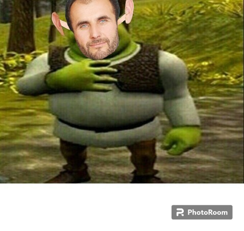 Create meme: meme Shrek , Shrek Shrek, Shrek 