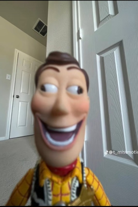 Create meme: woody's face, woody toy, woody's toy story