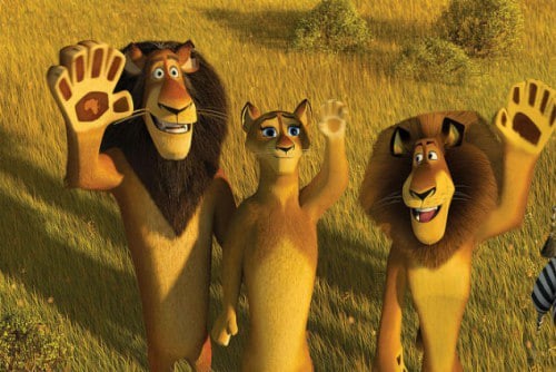 Create meme: Madagascar lion, Madagascar 2 lion, cartoon Madagascar