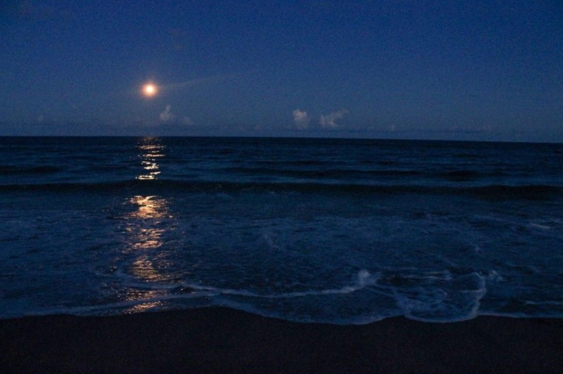 Create meme: moon over the sea, beach at night, night sea