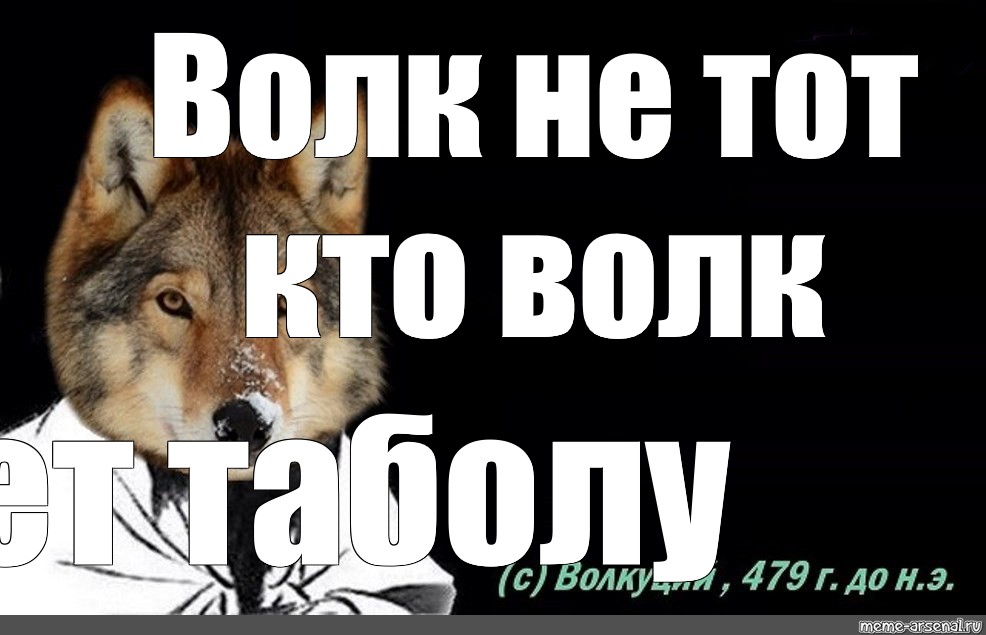 Волк не тот кто волк а тот кто волк Мем. Мемы с волками. Цитаты волка Мем. Мем с волком работа не волк.