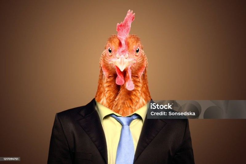 Create meme: chicken , rooster , chicken head