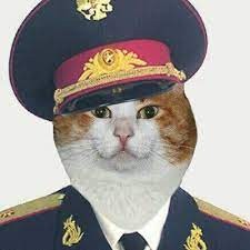 Create meme: the police of Russia, police cat, cat 
