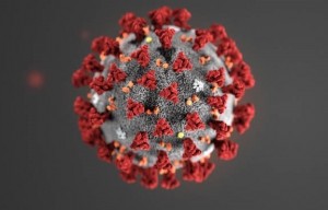 Создать мем: корона вирус под микроскопом, coronavirus 2019, коронавирусы