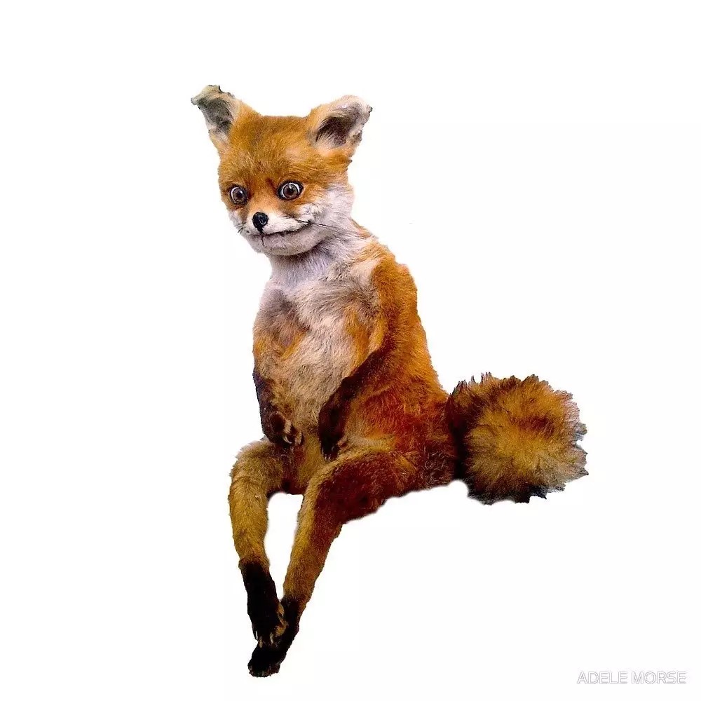Fox упоротый Лис