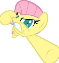 Create meme: fluttershy , fluttershy , fluttershy smiles