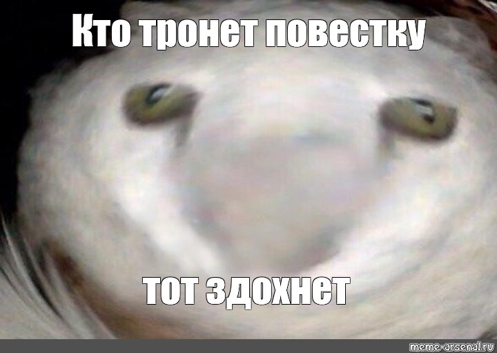 Мем Кто тронет повестку тот здохнет Все шаблоны meme arsenal com