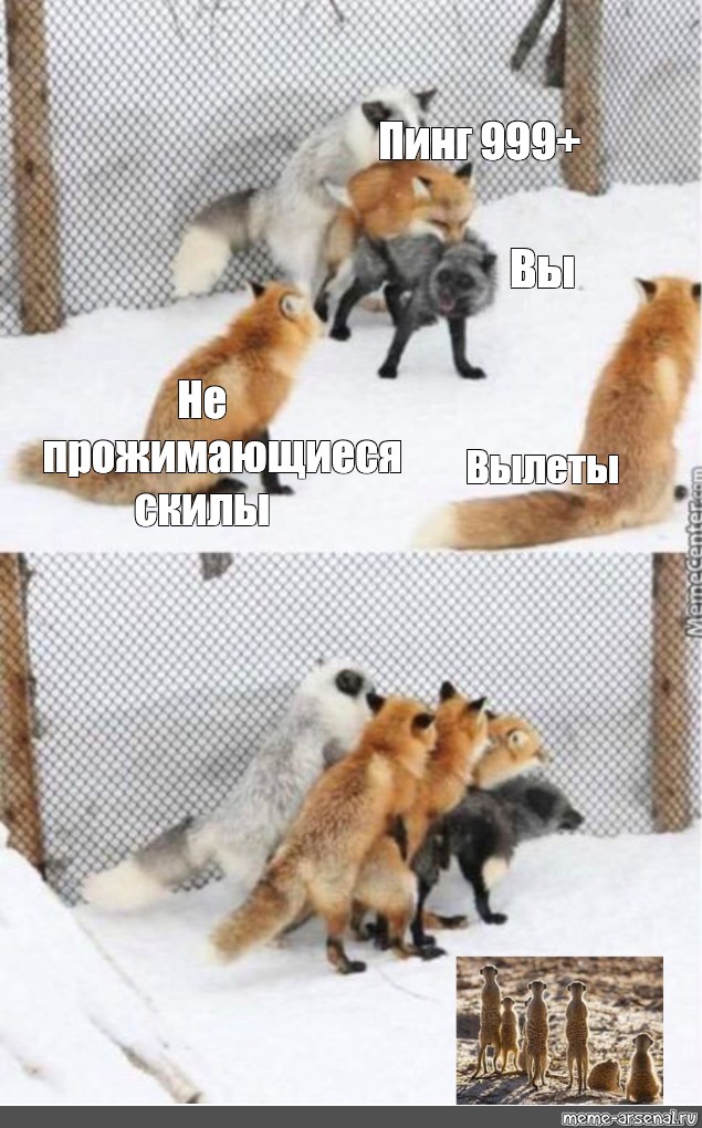 Создать мем: null