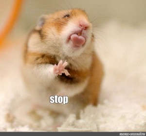 Create Meme Cute Hamster Funny Hamsters Hamster Cute Pictures Meme Arsenal Com