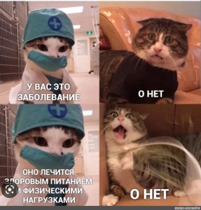 Create meme: kotomems with inscriptions, memes with cats doctors, cat medic memes