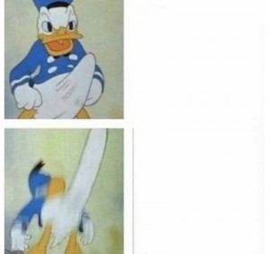 Create meme: donald duck boner meme, Donald duck meme, Donald duck funny pictures