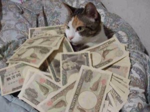 Создать мем: Деньги, кошка с деньгами, коты и деньги
