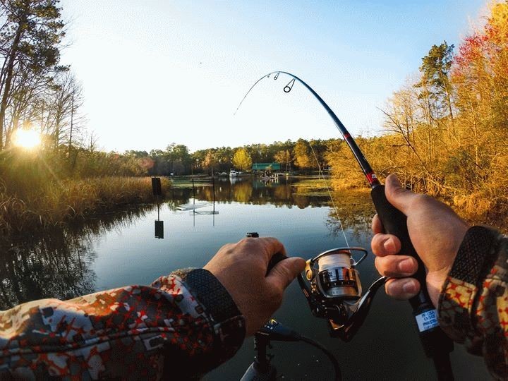 Create meme: fishing rod, fishing on the river, nature fishing