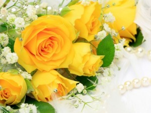 Create meme: of Wallpapers images yellow roses in full screen, yellow roses pictures bouquet of beautiful, yellow roses photo