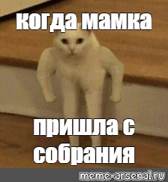 Мамка пришла. Кот Мем ЪУЪ. ЪУЪ Мем оригинал. Мемы с котиками ЪУЪ. Тобi пiзда Мем кот.