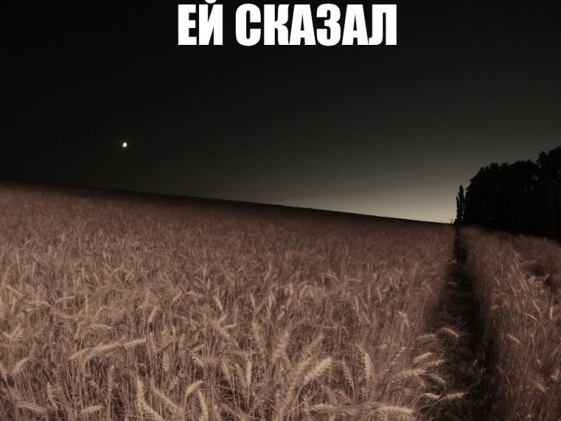 Create meme: night field, wheat field at night, The night field