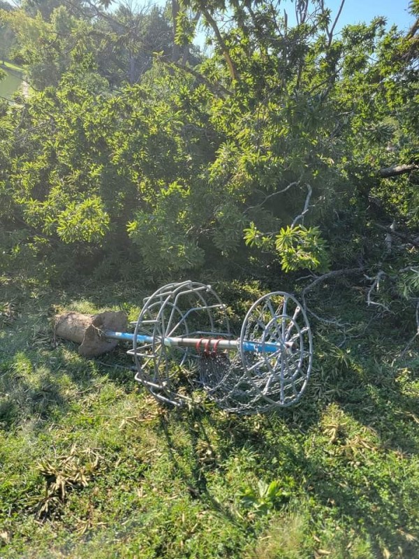 Create meme: american crab traps, adler antenna, muzzle fish trap