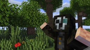 Create meme: minecraft skin, screenshot, minecraft