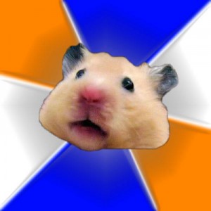 Create meme: hamster, memes, self