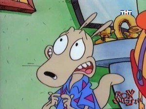 Создать мем: новая жизнь рокко, rocko s modern life, Безбилетник