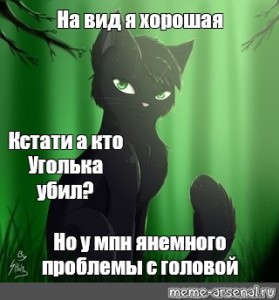 Коты воители картинки мемы