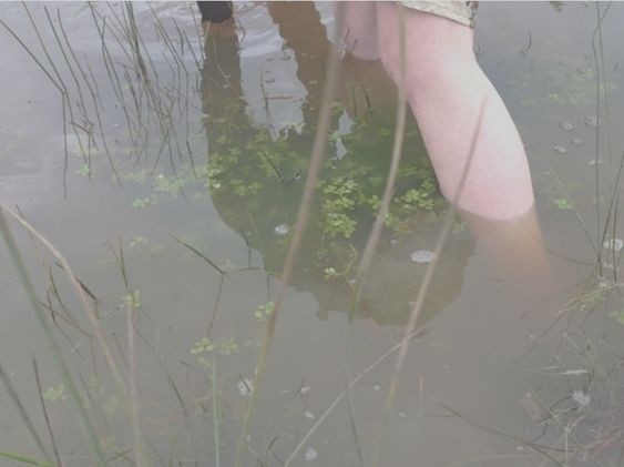 Создать мем: рыбалка, водоем, пруд