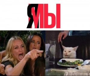 Create meme: women and cat meme, the meme with the cat at the table, MEM woman and the cat