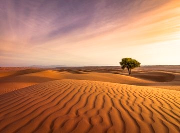 Create meme: desert , desert dunes, Africa Sahara desert