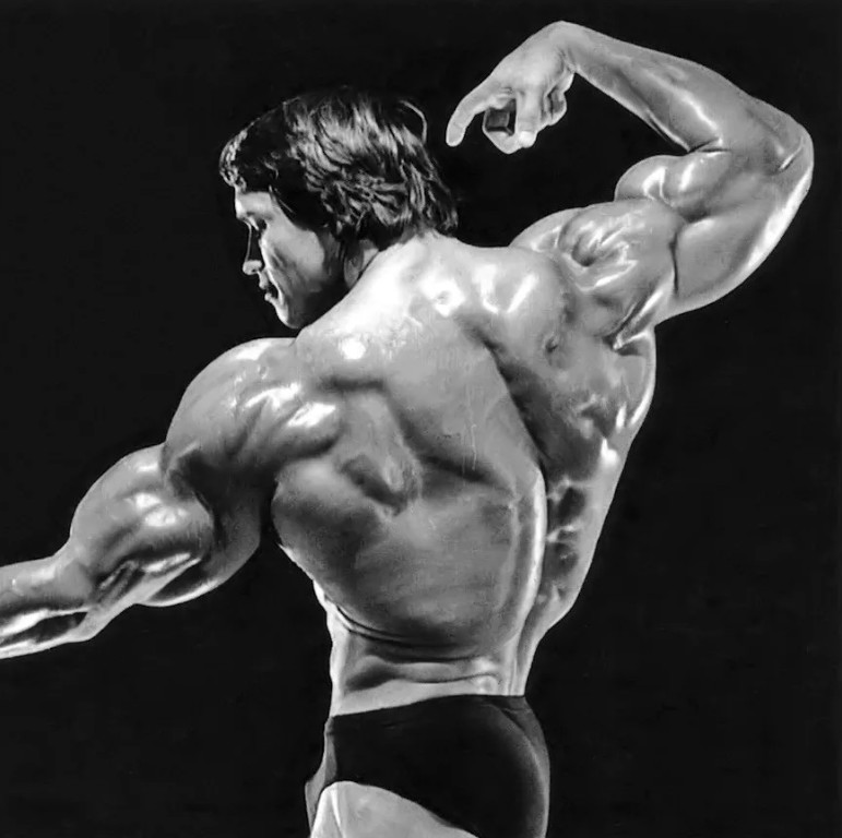 Create meme: Schwarzenegger bodybuilding, Arnold schwarzenegger Mr. Olympia, Arnold Schwarzenegger 