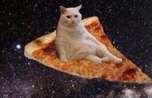 Создать мем: кот в космосе мем, коты в космосе, котик с пиццей