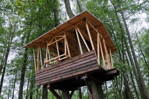 Создать мем: tree house, домик на дереве своими руками, дом на дереве