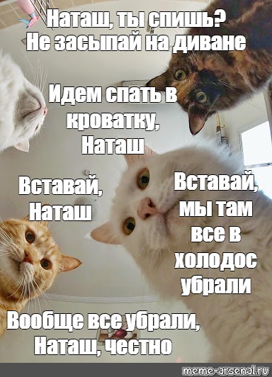 Наташа Ты Спишь Коты Картинки