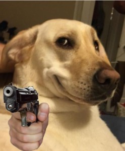 Создать мем: мемы про собак, большая и маленькая собака мем, мем собака